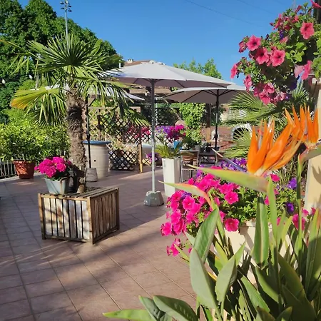 Exotic Flavour House